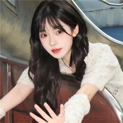 公仆2